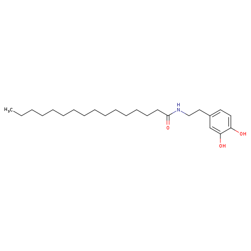 Hexadecanamide, N-[2-(3,4-dihydroxyphenyl)ethyl]-