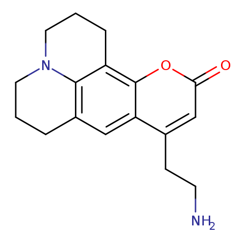 False Fluorescent Neurotransmitter 511, FFN-511
