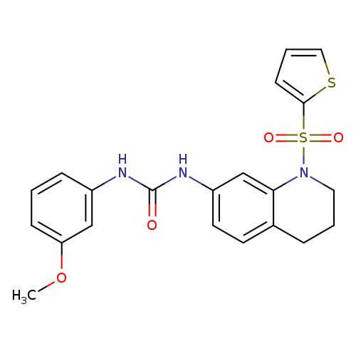 1-(3-methoxyphenyl)-3-[1-(thiophene-2-sulfonyl)-1,2,3,4-tetrahydroquinolin-7-yl]urea