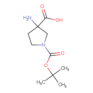 3-Amino-pyrrolidine-1,3-dicarboxylic acid 1-tert-butyl ester