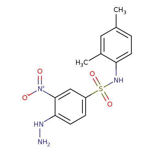 N-(2,4-Dimethyl-phenyl)-4-hydrazino-3-nitro-benzenesulfonamide