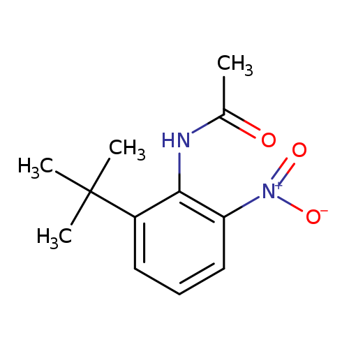N-{2-tert-butyl-6-nitrophenyl}acetamide