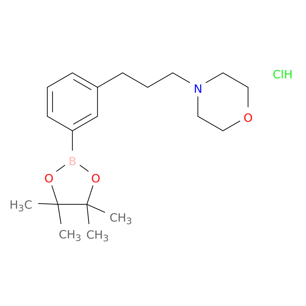 3-(3-morpholinopropyl)phenylboronic acid, pinacol ester, HCl