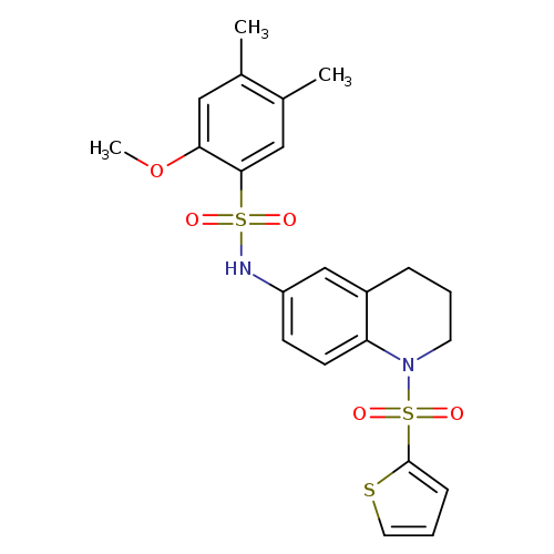 2-methoxy-4,5-dimethyl-N-[1-(thiophene-2-sulfonyl)-1,2,3,4-tetrahydroquinolin-6-yl]benzene-1-sulfonamide