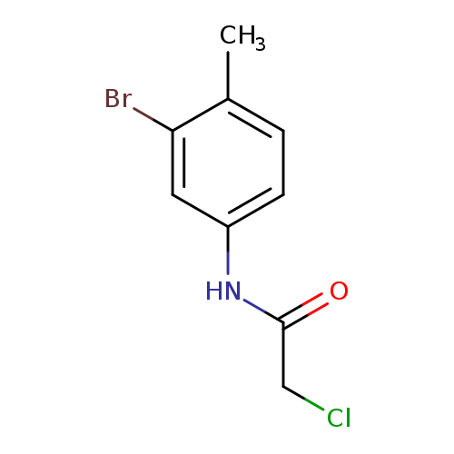 N-(3-bromo-4-methylphenyl)-2-chloroacetamide