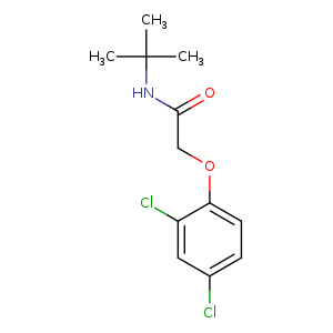 N-(tert-butyl)-2-(2,4-dichlorophenoxy)acetamide