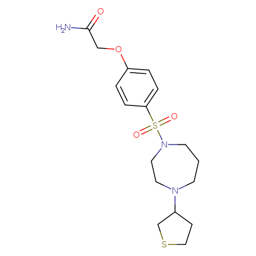 2-(4-{[4-(thiolan-3-yl)-1,4-diazepan-1-yl]sulfonyl}phenoxy)acetamide