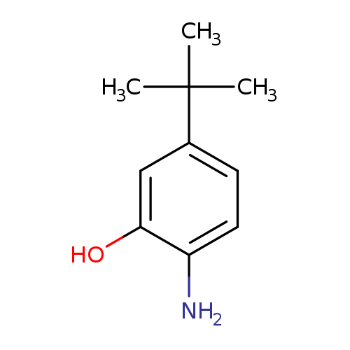 Phenol, 2-amino-5-(1,1-dimethylethyl)-