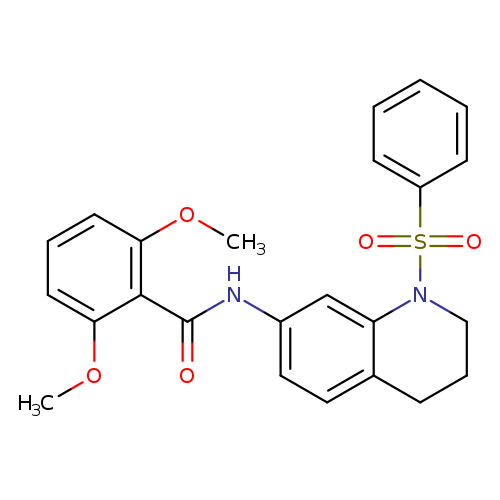 N-[1-(benzenesulfonyl)-1,2,3,4-tetrahydroquinolin-7-yl]-2,6-dimethoxybenzamide