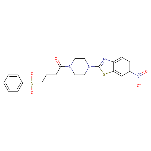 4-(benzenesulfonyl)-1-[4-(6-nitro-1,3-benzothiazol-2-yl)piperazin-1-yl]butan-1-one