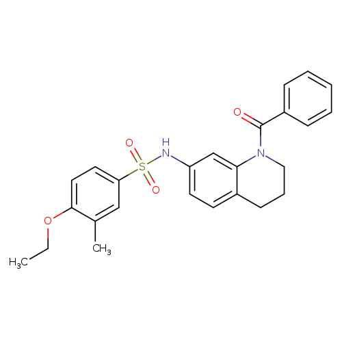 N-(1-benzoyl-1,2,3,4-tetrahydroquinolin-7-yl)-4-ethoxy-3-methylbenzene-1-sulfonamide