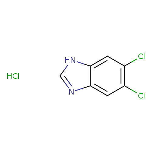 5,6-Dichlorobenzimidazole Hydrochloride