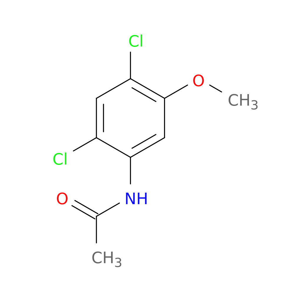 N-(2,4-Dichloro-5-methoxyphenyl)acetamide