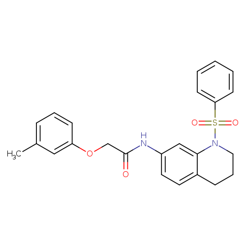 N-[1-(benzenesulfonyl)-1,2,3,4-tetrahydroquinolin-7-yl]-2-(3-methylphenoxy)acetamide