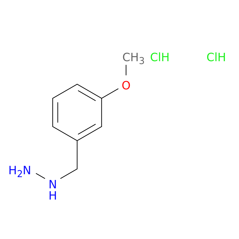 (3-Methoxybenzyl);hydrazine dihydrochloride