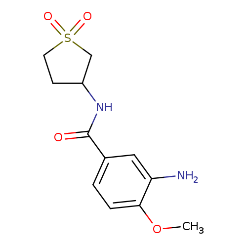 3-amino-N-(1,1-dioxo-1lambda6-thiolan-3-yl)-4-methoxybenzamide