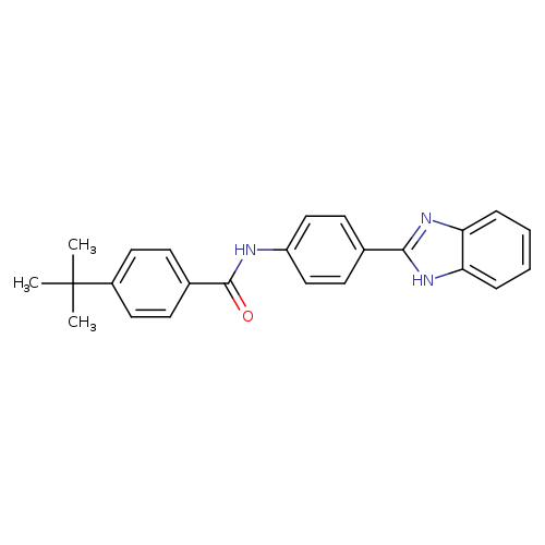 N-[4-(1H-1,3-benzodiazol-2-yl)phenyl]-4-tert-butylbenzamide