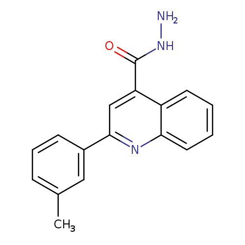 2-(3-Methylphenyl)quinoline-4-carbohydrazide
