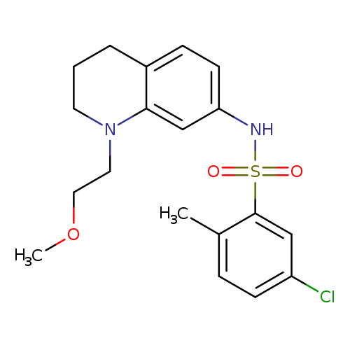 5-chloro-N-[1-(2-methoxyethyl)-1,2,3,4-tetrahydroquinolin-7-yl]-2-methylbenzene-1-sulfonamide