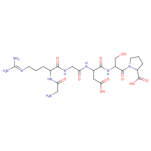 glycyl-arginyl-glycyl-aspartyl-seryl-proline