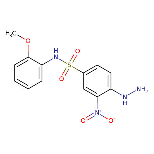 4-Hydrazino-n-(2-methoxy-phenyl)-3-nitro-benzenesulfonamide