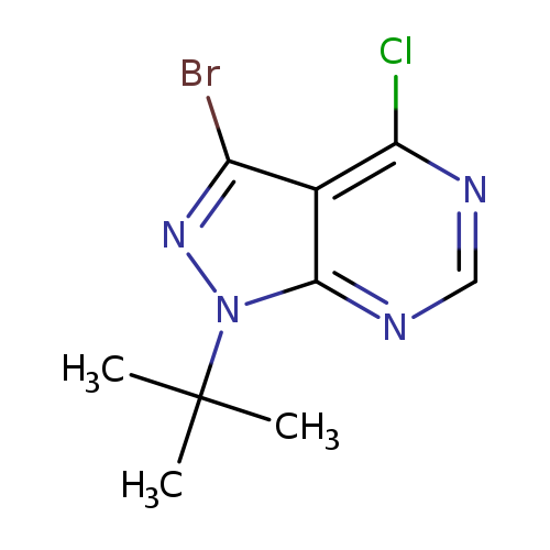 3-bromo-1-tert-butyl-4-chloro-1H-pyrazolo[3,4-d]pyrimidine