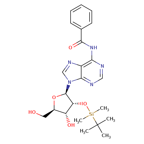 2'-TBDMS-Bz-rA