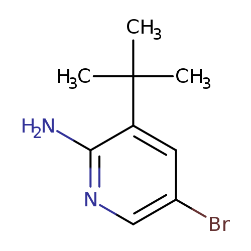 5-bromo-3-tert-butylpyridin-2-amine