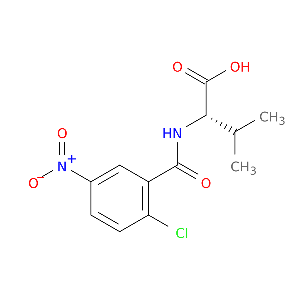 (2S)-2-[(2-chloro-5-nitrophenyl)formamido]-3-methylbutanoic acid
