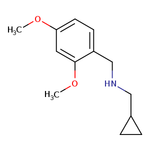 (cyclopropylmethyl)[(2,4-dimethoxyphenyl)methyl]amine