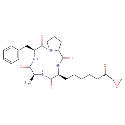 AlaninechlaMydocin, 1-