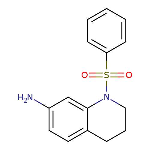 1-(Phenylsulfonyl)-1,2,3,4-tetrahydroquinolin-7-amine