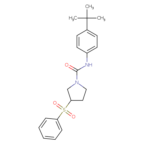3-(benzenesulfonyl)-N-(4-tert-butylphenyl)pyrrolidine-1-carboxamide