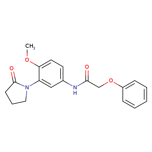 N-[4-methoxy-3-(2-oxopyrrolidin-1-yl)phenyl]-2-phenoxyacetamide