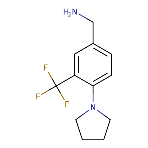 (4-(Pyrrolidin-1-yl)-3-(trifluoromethyl)phenyl)methanamine