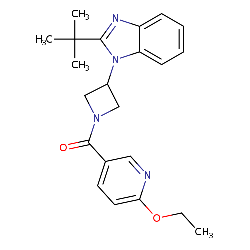 2-tert-butyl-1-[1-(6-ethoxypyridine-3-carbonyl)azetidin-3-yl]-1H-1,3-benzodiazole