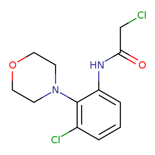 2-chloro-N-[3-chloro-2-(morpholin-4-yl)phenyl]acetamide