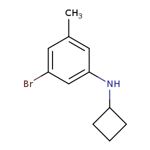 3-Bromo-N-cyclobutyl-5-methylaniline