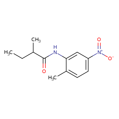 N-{5-nitro-2-methylphenyl}-2-methylbutanamide