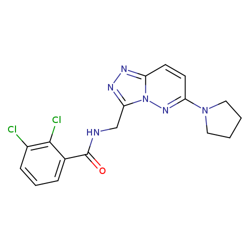 2,3-dichloro-N-{[6-(pyrrolidin-1-yl)-[1,2,4]triazolo[4,3-b]pyridazin-3-yl]methyl}benzamide