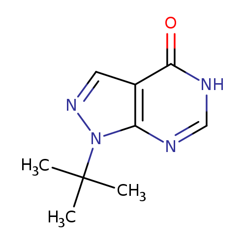 1-tert-butyl-1H,4H,5H-pyrazolo[3,4-d]pyrimidin-4-one