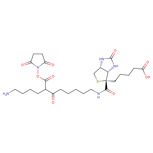 2,5-Dioxopyrrolidin-1-yl 6-(6-(5-((3aS,4S,6aR)-2-oxohexahydro-1H-thieno[3,4-d]imidazol-4-yl)pentanamido)hexanamido)hexanoate