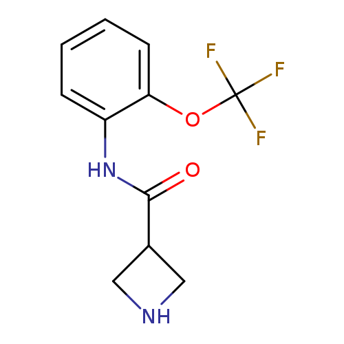 N-[2-(Trifluoromethoxy)phenyl]azetidine-3-carboxamide