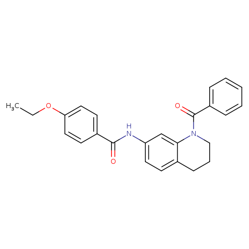 N-(1-benzoyl-1,2,3,4-tetrahydroquinolin-7-yl)-4-ethoxybenzamide
