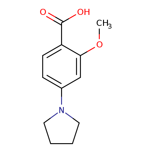2-Methoxy-4-(pyrrolidin-1-yl)benzoic acid