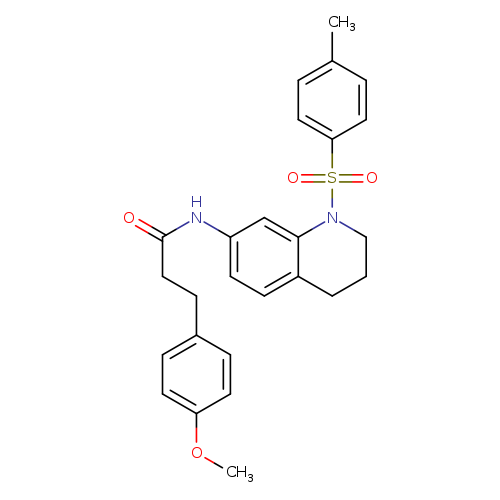 3-(4-methoxyphenyl)-N-[1-(4-methylbenzenesulfonyl)-1,2,3,4-tetrahydroquinolin-7-yl]propanamide