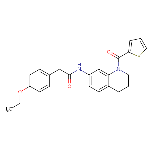 2-(4-ethoxyphenyl)-N-[1-(thiophene-2-carbonyl)-1,2,3,4-tetrahydroquinolin-7-yl]acetamide