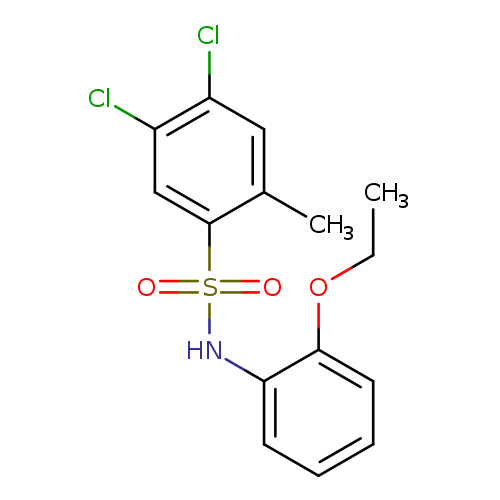 4,5-dichloro-N-(2-ethoxyphenyl)-2-methylbenzene-1-sulfonamide
