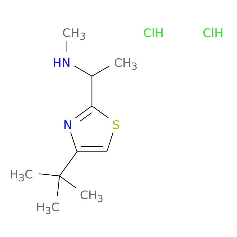 [1-(4-tert-butyl-1,3-thiazol-2-yl)ethyl](methyl)amine dihydrochloride
