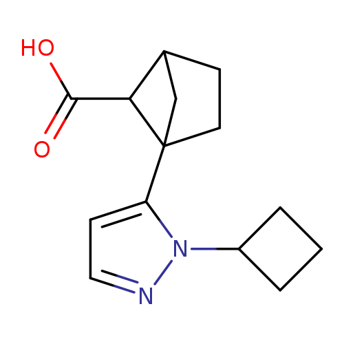 1-(1-cyclobutyl-1H-pyrazol-5-yl)bicyclo[2.1.1]hexane-5-carboxylicacid